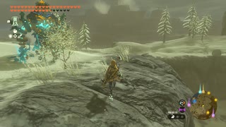 【Switch】リンクがゾナウとゼルダ探し旅【プレイ動画】part128