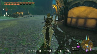 【Switch】リンクがゾナウとゼルダ探し旅【プレイ動画】part130