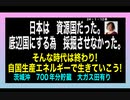 24・1・12夜　日本は　資源国だった。