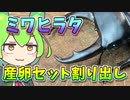 【クワガタ飼育】ミワヒラタ 産卵セット割り出し