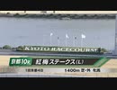 【競馬】2024年 紅梅ステークス(L)【ワイドラトゥール / 北村友一】
