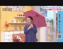 ニッチな大使に就任しましょ