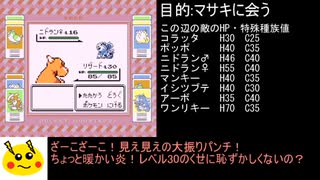 ポケモン赤ノーダメージ攻略 3/9