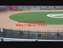 UMAJO？競馬予想「2024日経新春杯編」