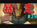 【初見実況】　名作RPG！ブレスオブファイア４のクリアを目指します！　Part29