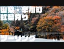 【モトブログ】山梨・早川町紅葉狩りツーリング【2023年11月】