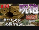 【初見実況】　名作RPG！ブレスオブファイア４のクリアを目指します！　Part30