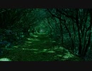 forest_-_97998 (360p)
