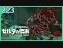 #223【ゼルダの伝説ティアーズオブザキングダム】ちょっと世界を翔けてくる【実況プレイ】