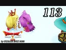 ドラゴンクエストＸオフライン～目覚めし五つの種族【初見プレイ】Scene113