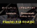 【犬を連れて】ガーシュウィンのプロムナードを弾いてみた【ピアノ】