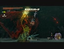 【ゼルダの伝説 ティアーズ オブ ザ キングダム】再びハイラルを救うまで【実況】 part201