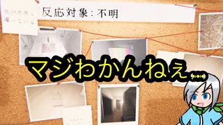 頑張っても証拠を出さないやつはわからない調査員〈Phasmophobia〉
