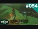【実況】#054:ゼルダの伝説 ティアーズ オブ ザ キングダム 初見実況プレイ【TotK】