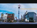 もみあげで空を飛ぶゆかりさん