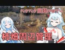 2024年1月14日　農作業日誌P874　家庭菜園の柿畑を耕しました