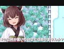 私達、拡張した田舎で暮らします！#10【Stardew Valley Expanded】