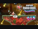 【実況１８】流れ星っていうかメテオストライク！【スーパーマリオブラザーズ ワンダー】