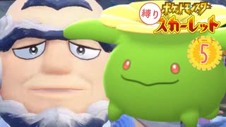 ポポッコ縛りでパルデア旅行 part5【ポケモンSV】