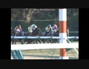 2010 アメリカジョッキークラブＣ(GII)　ネヴァブション