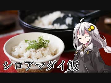 釣れなくても料理！シロアマダイ飯！【VOICEROIDキッチン】