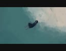 【ニコカラ】 loveless / Peg 【onvocal】