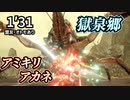 【300ショウグンギザミ✕双剣】会心＋50％を強化延長！【龍気変換・激昂】