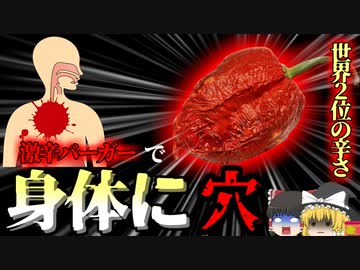 【2016年】世界一辛い唐辛子ペーストバーガーで身体に3cmの穴 大食い大会で地獄を見た男性 【ゆっくり解説】