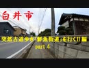 【散歩】千葉県白井市河原子-中を歩く【突然古道歩き「鮮魚街道」を行くⅡ編 part 4】