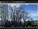 （こはち大冒険！ inトキョ スカイツリー周辺編 お供のかわちぇ！）008