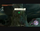 【ゼルダの伝説 ティアーズ オブ ザ キングダム】再びハイラルを救うまで【実況】 part202