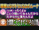 説明してるのに反応が薄いため喧嘩になりそうになるポルーナ【姫森ルーナ/尾丸ポルカ/ホロライブ切り抜き】