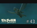 服装間違えた【ゼルダの伝説ブレスオブザワイルド】#43