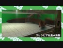 【ポケモンSV】水族館パ対戦ラジオ7【ダブルフレ戦】
