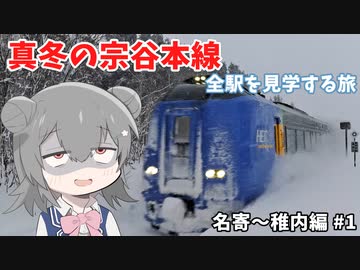 【鉄道】真冬の宗谷本線！  全駅を見学する旅：名寄～稚内編 ①【VOICEROID/CeVIO旅行】