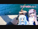 【VOICEROIDフィッシング】寒くてもウキフカセ【フカセ釣り】