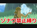 ゾナウ禁止縛りpart13【ティアキン/制限プレイ/ゼルダの伝説ティアーズオブザキングダム】