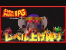 レベル上げ禁止でスーパーマリオRPG オノレンジャー戦