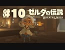 【ぽつぽつ実況 #10】研究所【ゼルダの伝説BoW】