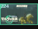 #224【ゼルダの伝説ティアーズオブザキングダム】ちょっと世界を翔けてくる【実況プレイ】