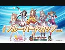 第50回ブルーバードカップ パドック～本馬場入場