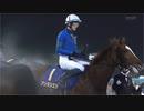 【競馬】2024年 第50回ブルーバードカップ(JpnⅢ)【アンモシエラ / 坂井瑠星】