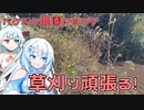 2024年1月17日　農作業日誌P877　急峻なのり面と梅畑の草刈り作業をしていた