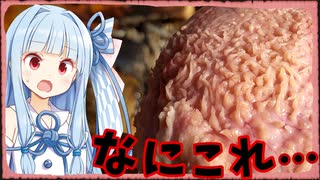 【異世界飯】ゲームのラストダンジョンの定番やん！