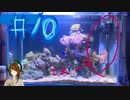 半端ものの海水魚飼育　＃10～自作オーバーフロー～