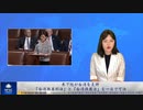 米下院が台湾を支持　「台湾無差別法」と「台湾保護法」を一日で可決