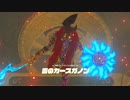 ゼルダの伝説　ブレス オブ ザ ワイルド　実況プレイPart161