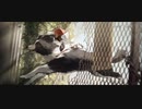 【リバース:1999】小さな贈り物