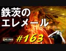 ついに日陰城であの鉄茨のエレメールや腐敗の騎士やわんわんたちと戯れたりします【初見】エルデンリング実況／盗賊王物語【オフライン】#163