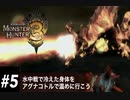 モンハントライ#5 ナバルデウス討伐したのに誰も触れてこない